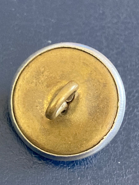 Berkshire Constabulary Button