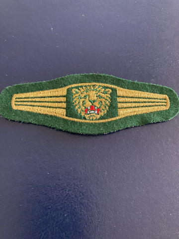 German Police Special Task Force Patch