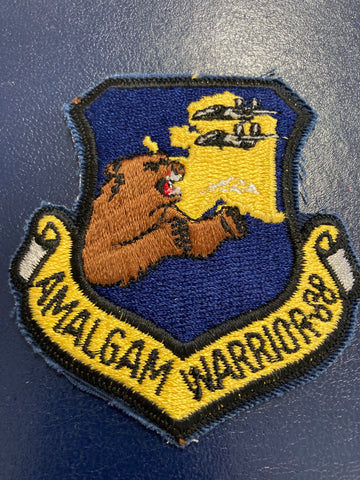 USAF Amalgam Warrior Squadron Patch