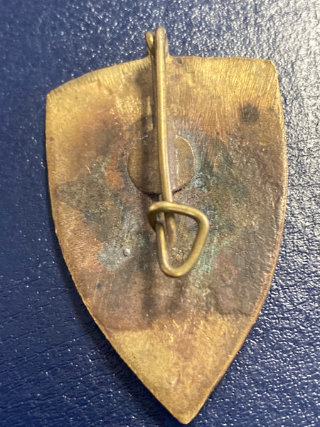 Viet War ARVN Badge