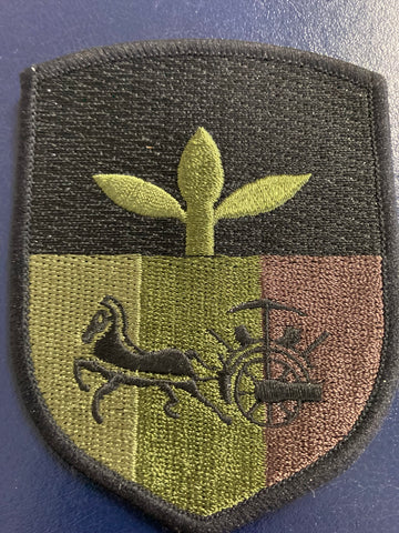 Taiwan 16th Division Patch