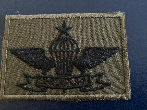 Singapore Master Parachute Wings