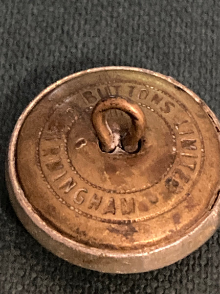 Borough of Swansea Button