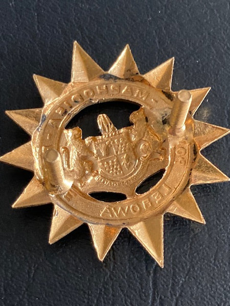 Maphodisa Police Cap Badge