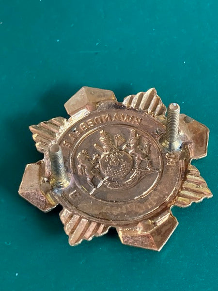 South African Police Cap Badge