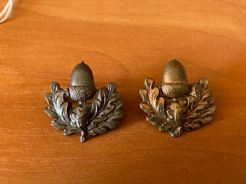 South Notts Hussars Collar Badges