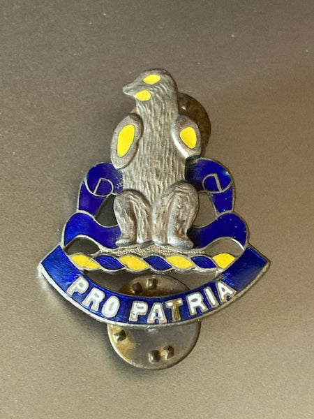 Enamel - US Unit Badge