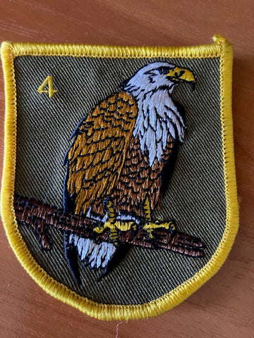 Slovenia - 4th Amour Brigade Patch