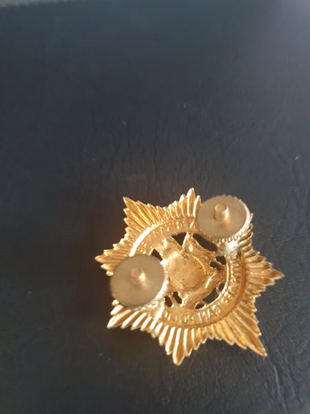 South Africa Police Cap Badge