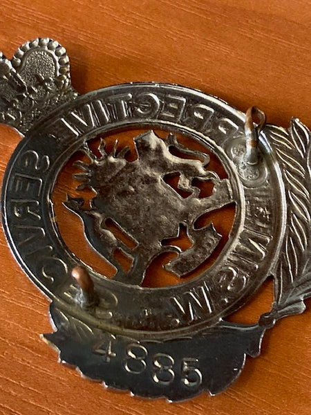 NSW Corrective Services Cap Badge - A/F