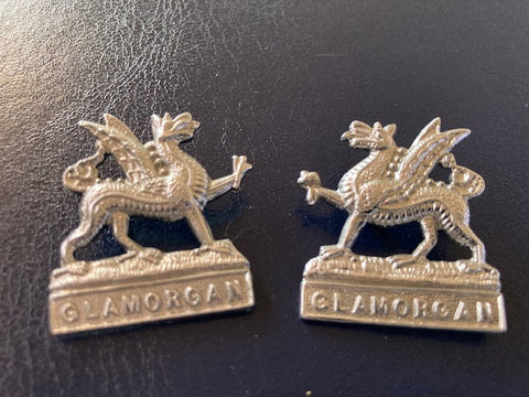 Glamorgan Constabulary Collar Pair