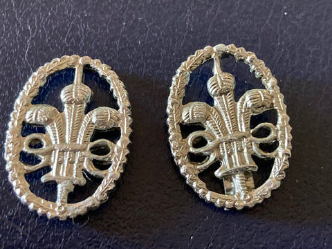 Cheshire Constabulary Collar Pair