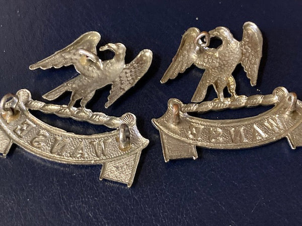 Swansea Bough Police Collar Badge Pair