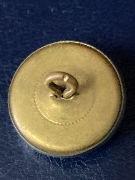 Glamorgan Constabulary Button