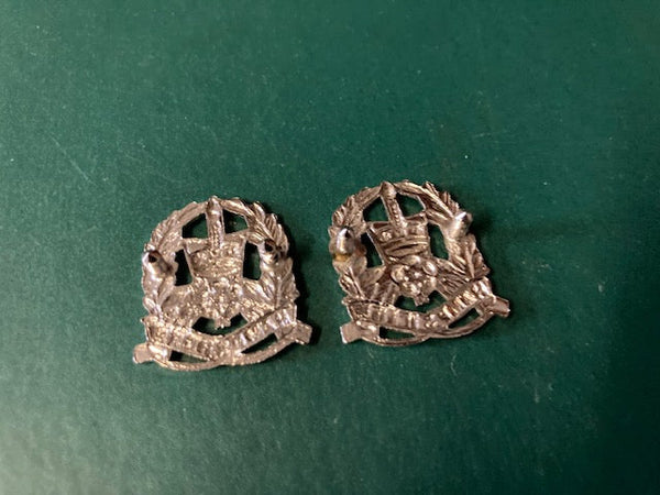 Hampshire Constabulary Collar Badge Pair