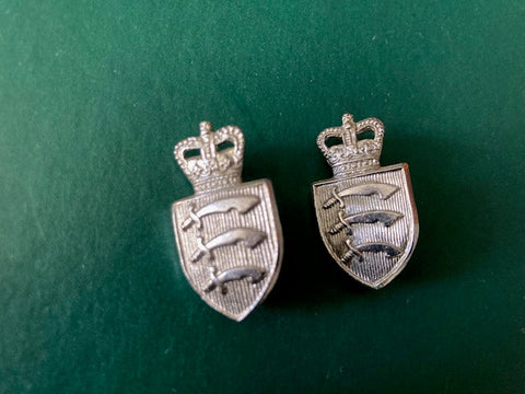 Essex Constabulary Collar Pair