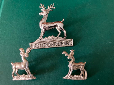 Hertfordshire Constabulary Badge Set