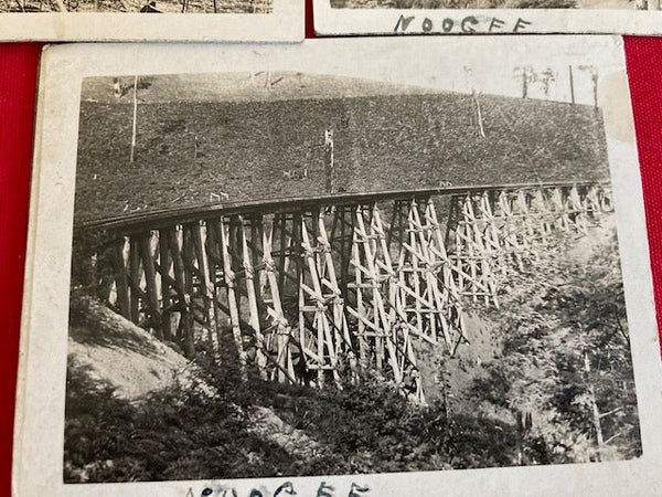 Original Photos of Noogee Trestle Rail Bridge
