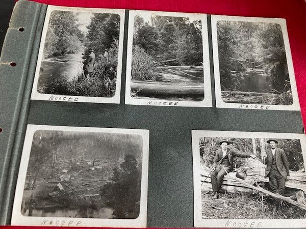 Lot of Early 1900's Gippsland Photos