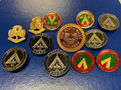 12 - Scouting Badges