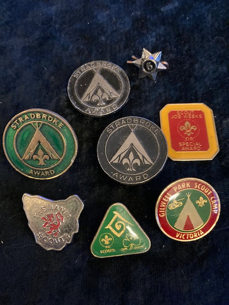 Scouting Badges