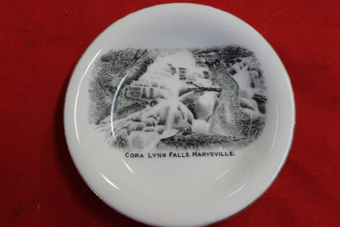Cora Lynn Falls Marysville Dish