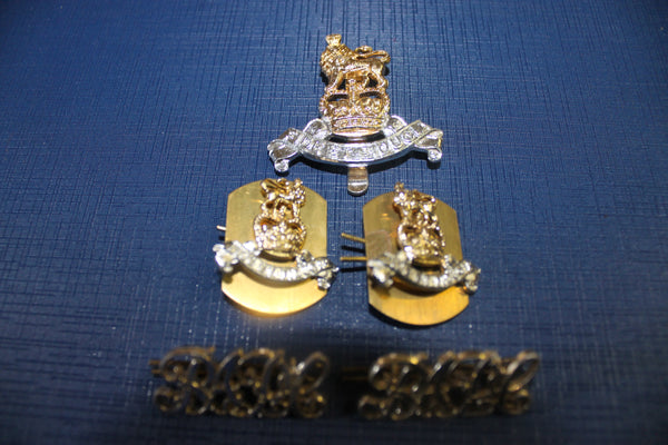 Royal Army Pay Corps Anodised Badge Set