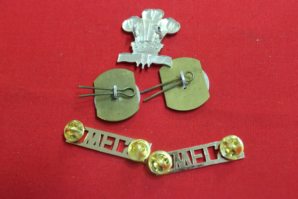 Royal Welsh Regiment Badge Set