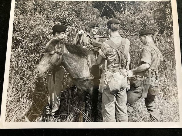 Large - 1964 British Commando Photo