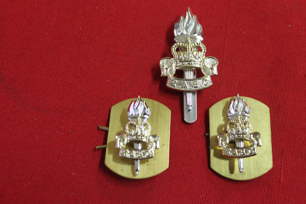 Royal Army Education Corps Badge Set