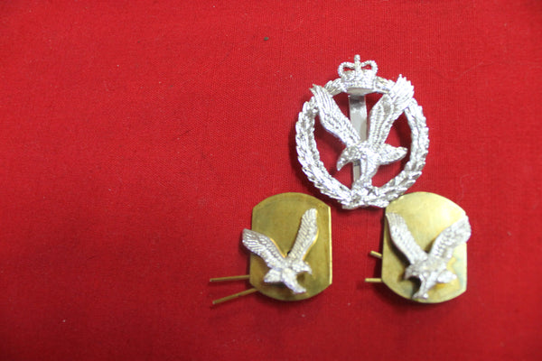 Army Air Corps Badge Set