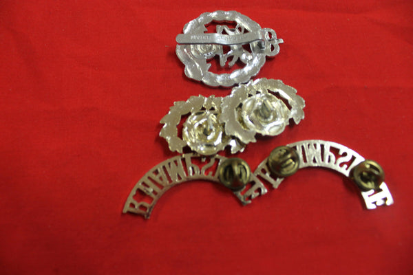 Royal Hampshire Regt Badge Set