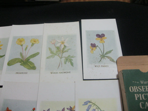 Warne's Flower Card Set