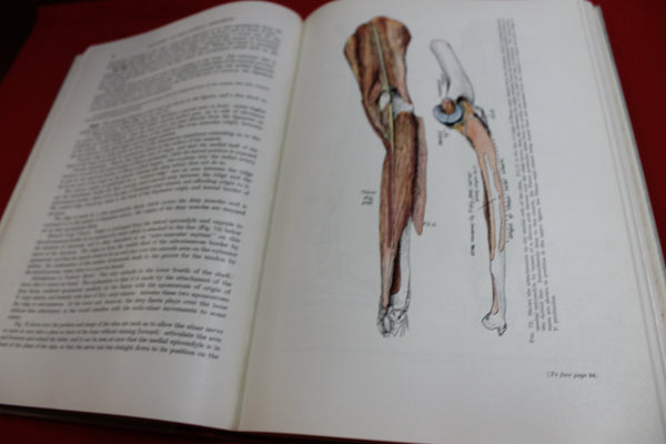 Frazer's Anatomy of the Human Skeleton