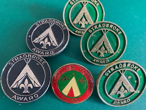 6 - Scouting Badges