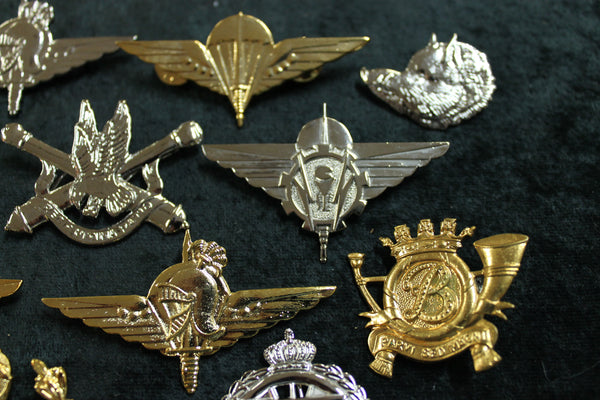 11 - Military Badge Lot