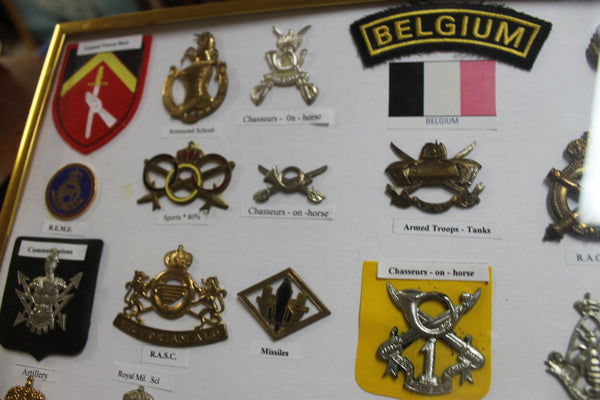 Framed Military Badge Collection