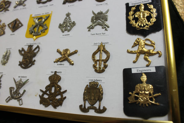 Framed Military Badge Collection
