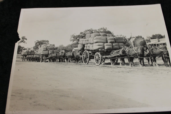 Wool Bales Being Transported by Dray Photo , Rural Victoria