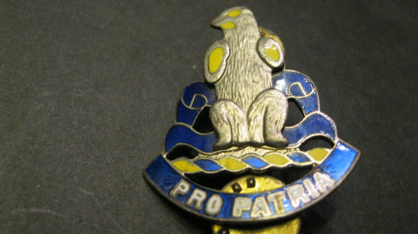US Military Unit Badge.