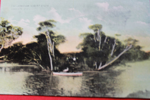Albert River Junction Postcard