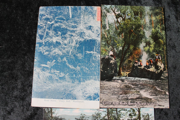 3 - Victoria Forest Scene Postcards