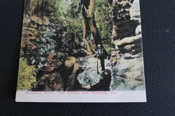 1906 -  The Gorge Near Horsham Postcard