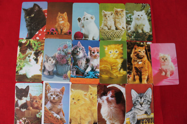 16 - Cat Swap Cards