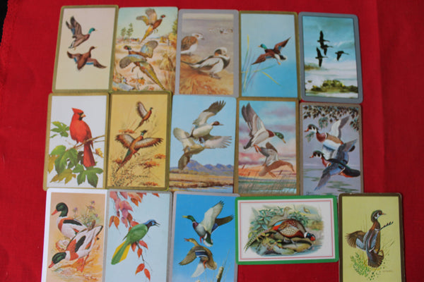 15 - Bird Swap Cards