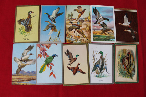 10 - Bird Swap Cards